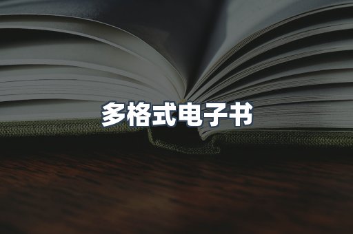 海外电子书